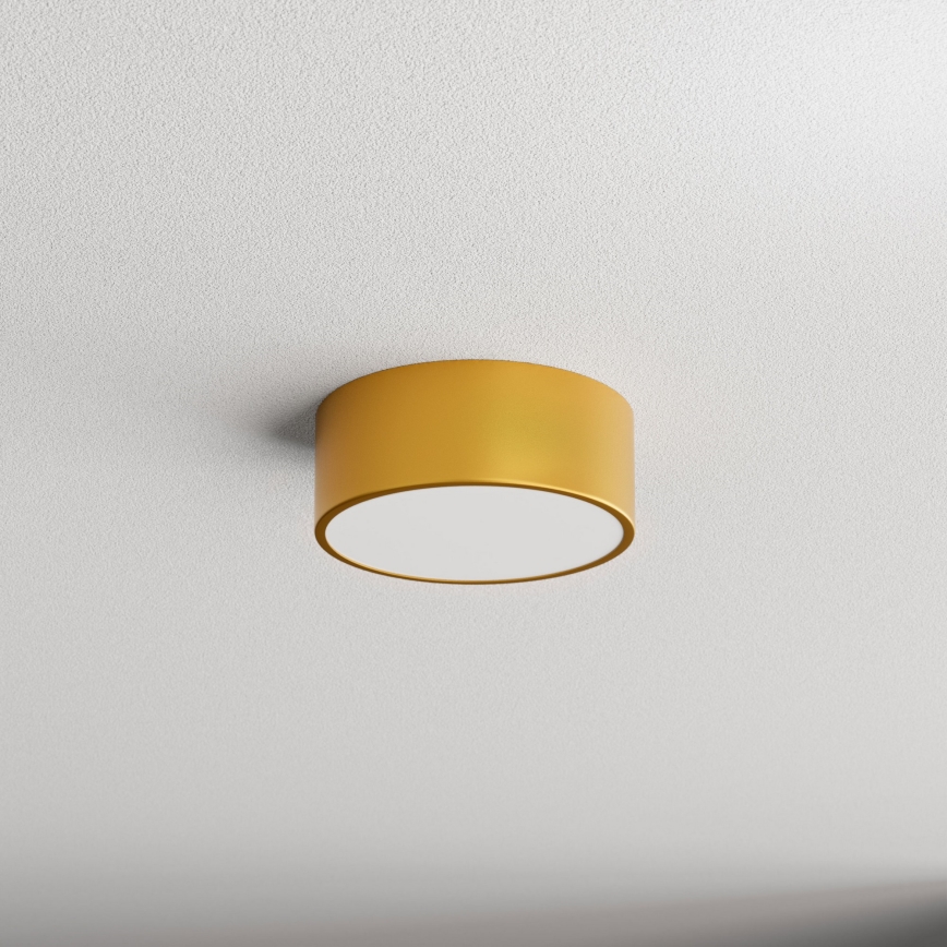 Taklampa med rörelse- och skymningssensor CLEO 1xE27/40W/230V Ø 20 cm guld
