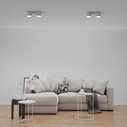 Taklampa  DIXIE 2xGX53/11W/230V vit