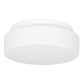 Taklampa för utomhusbruk HECTOR 1xE27/60W/230V diameter 25 cm IP44 opal vit