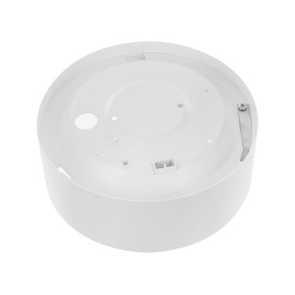 Taklampa med rörelse- och skymningssensor CLEO 1xE27/40W/230V Ø 20 cm vit