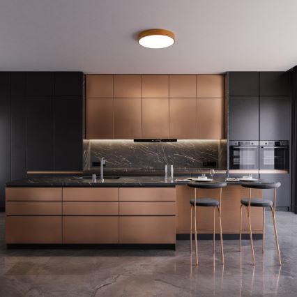 Taklampa med rörelse- och skymningssensor CLEO 2xE27/24W/230V Ø 30 cm koppar