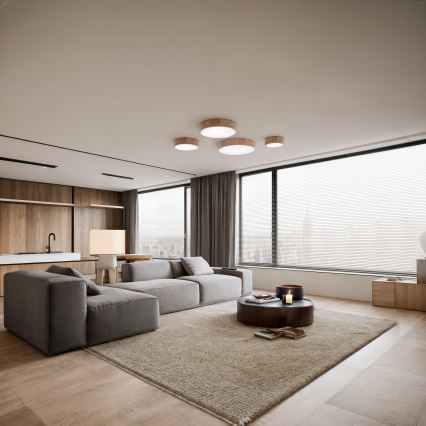 Taklampa med rörelse- och skymningssensor CLEO 3xE27/24W/230V Ø 37,5 cm ek