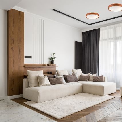 Taklampa MEDA 2xE27/60W/230V tallträ