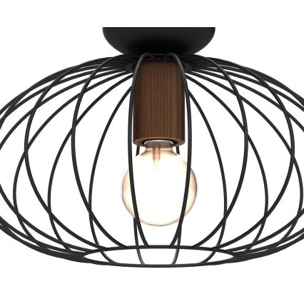 Taklampa  MERIDIANO 1xE27/60W/230V