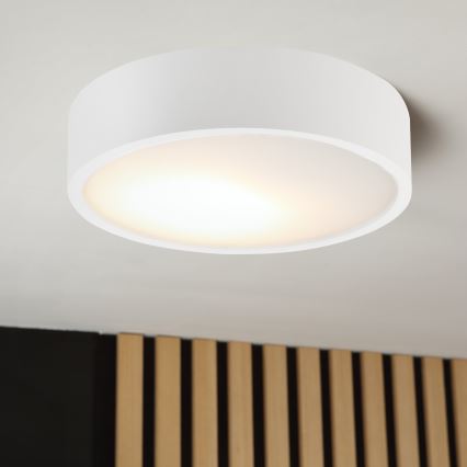 Taklampa NATURAL 1xE27/15W/230V Ø 27,5 cm furu/vit
