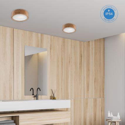 Badrumstaklampa OAK 2xE27/15W/230V IP54 ek Ø 27 cm