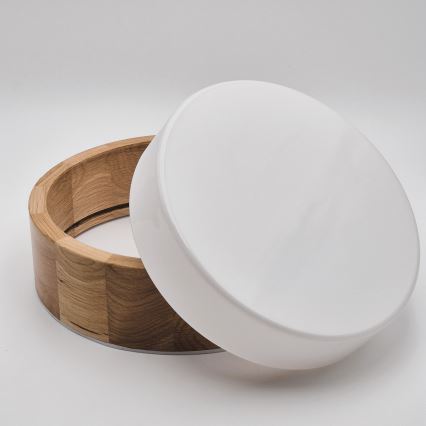 Badrumstaklampa OAK 2xE27/15W/230V IP54 ek Ø 27 cm