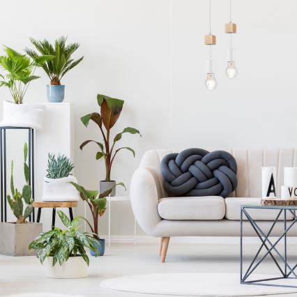 Taklampa på kabel ORAZIO 1xE27/60W/230V bok