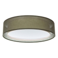 Taklampa PURO 2xE27/40W/230V Ø 50 cm grön