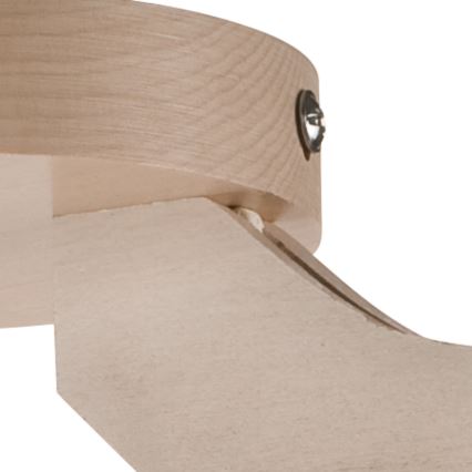 Takmonterad taklampa ADRIANO 3xE27/60W/230V bok