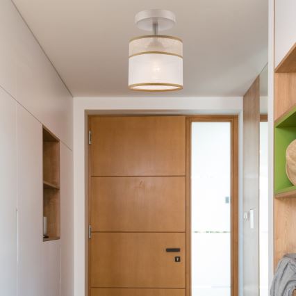 Takmonterad taklampa ANDREA 1xE27/60W/230V bok