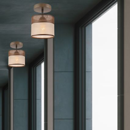 Takmonterad taklampa ANDREA 1xE27/60W/230V bok