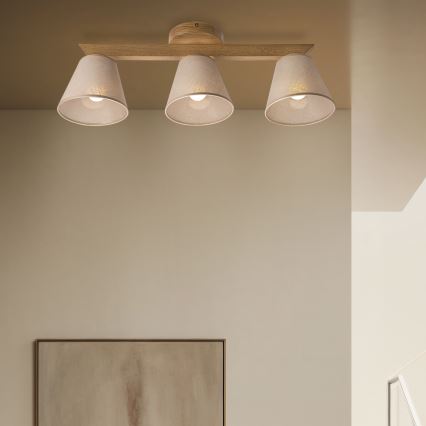 Plafondlampa ANTONIO 3xE14/40W/230V ek