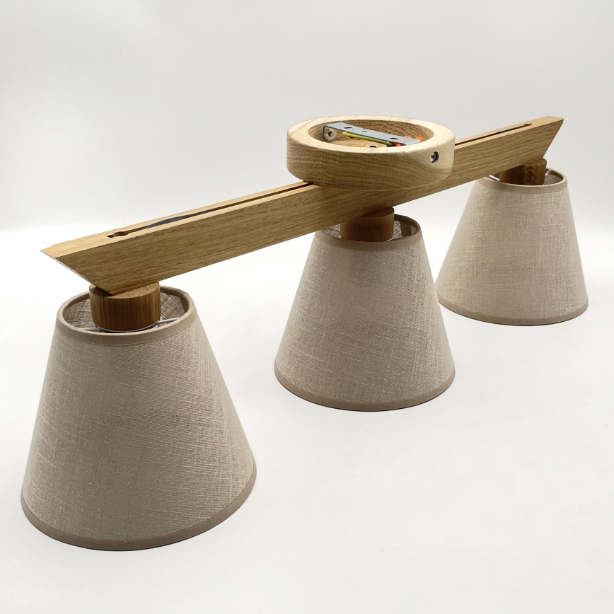 Plafondlampa ANTONIO 3xE14/40W/230V ek