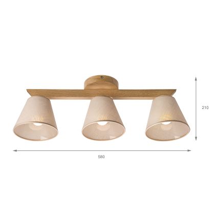 Plafondlampa ANTONIO 3xE14/40W/230V ek