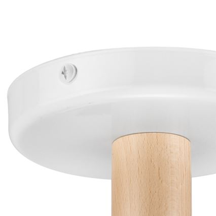 Takmonterad taklampa ELLIE 3xE27/60W/230V bok