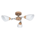 Takmonterad taklampa VILETTA 3xE27/60W/230V ek