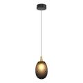 Takpendel med sladd CACTUS 1xG9/5W/230V svart