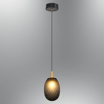 Takpendel med sladd CACTUS 1xG9/5W/230V svart