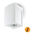 Takpotlight LINDO 1xGU10/25W/230V