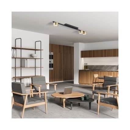 Takspot LOGAN 3xGU10/10W/230V svart/guld