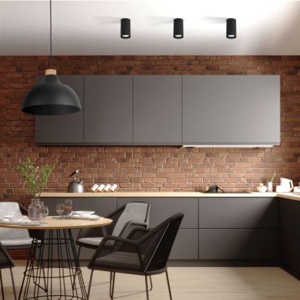 Takspot TUNE S 1xGU10/10W/230V 10 cm svart