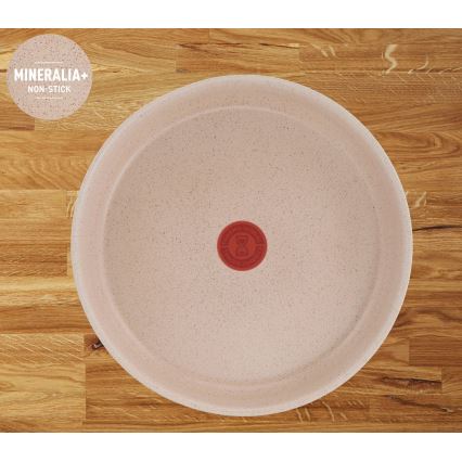 Tefal - 17-delars kastrullset INGENIO DELIGHT