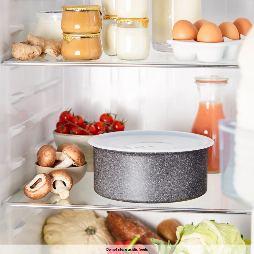 Tefal - Djup stekpanna INGENIO NATURAL FORCE 22 cm
