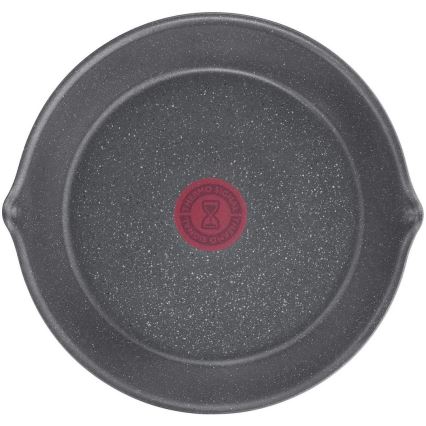 Tefal - Djup stekpanna INGENIO NATURAL FORCE 22 cm