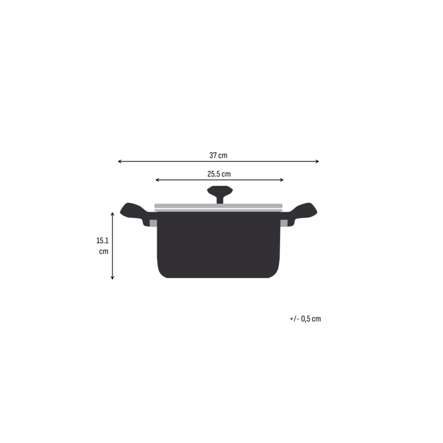 Tefal - Gryta med lock EXTREME 24 cm