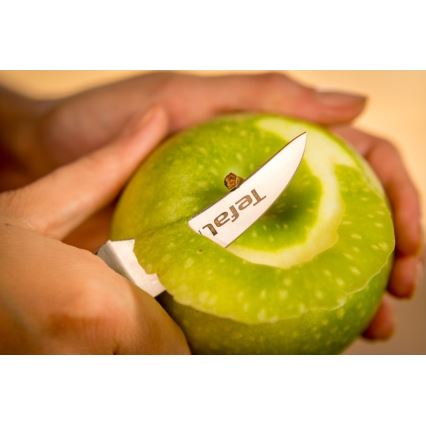 Tefal - Rostfritt stål utstickarkniv ICE FORCE 7 cm blank krom/svart