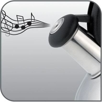 Tefal - Induktionsvattenkokare 2,7 l rostfri