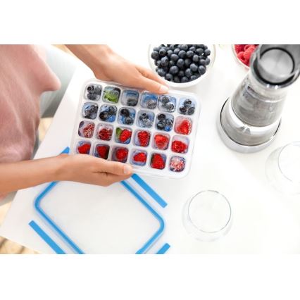 Tefal - Isform för 24 isbitar MASTER SEAL blå