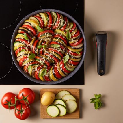 Tefal - Kastrull INGENIO NATURAL FORCE 20 cm