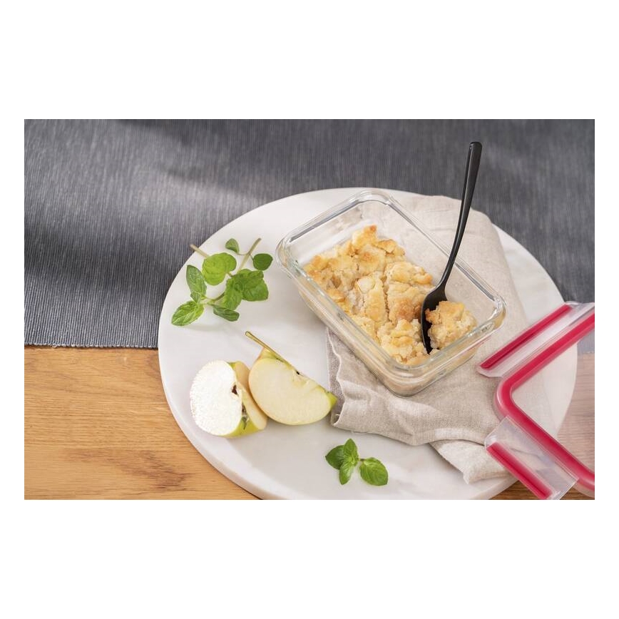 Tefal - Matförvaringsburk 0,45 l MSEAL GLASS röd/glas