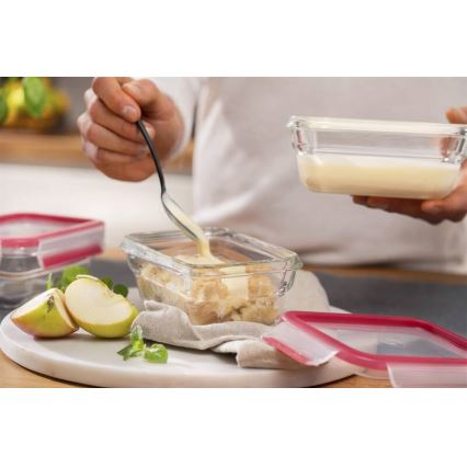 Tefal - Matförvaringsburk 0,45 l MSEAL GLASS röd/glas