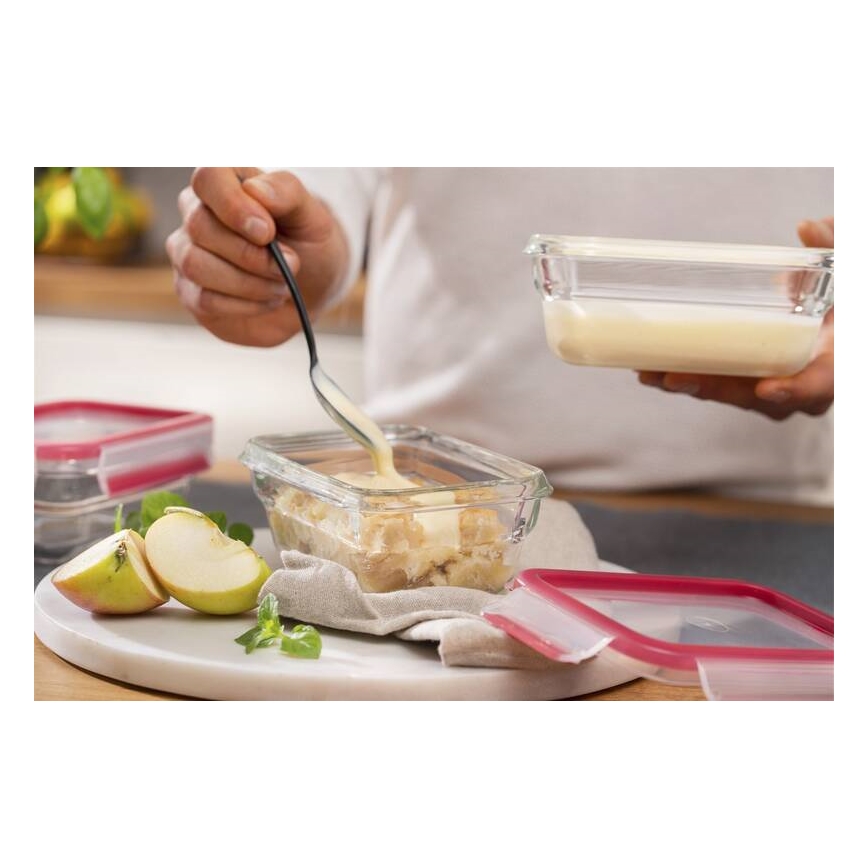 Tefal - Matförvaringsburk 0,45 l MSEAL GLASS röd/glas