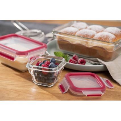 Tefal - Matförvaringsburk 0,45 l MSEAL GLASS röd/glas