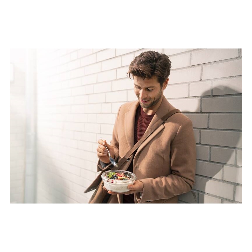 Tefal - Matlåda 0,6 l MSEAL GLASS röd/glas