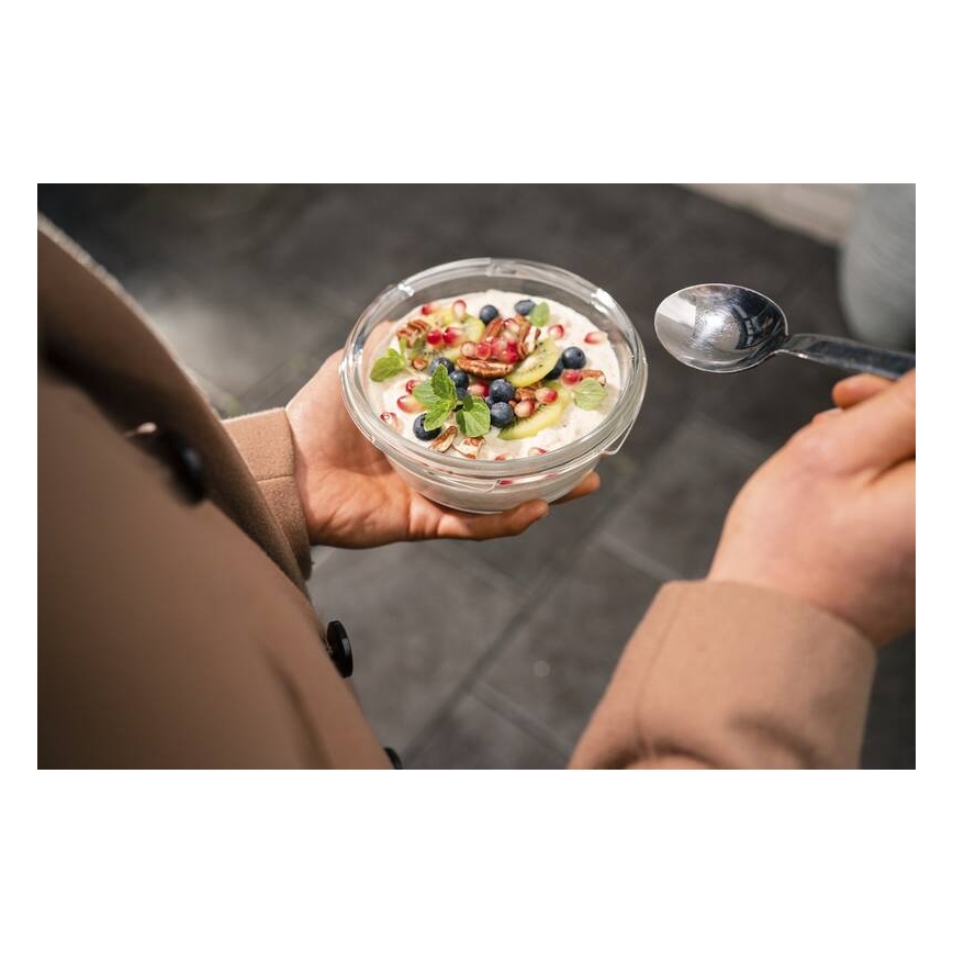 Tefal - Matlåda 0,6 l MSEAL GLASS röd/glas