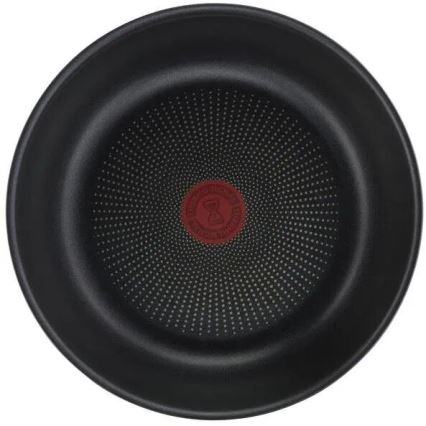 Tefal - Set med 10 delar INGENIO DAILY CHEF i kopparfärg