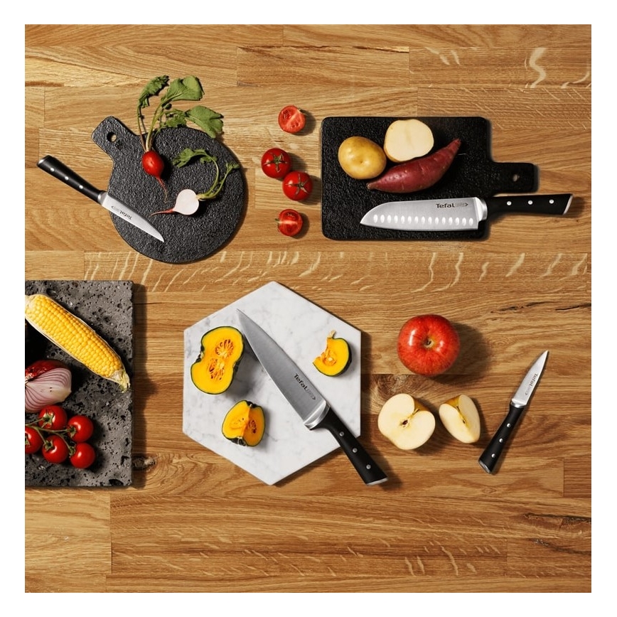 Tefal - Set med köksknivar i ett stativ ICE FORCE 6 delar