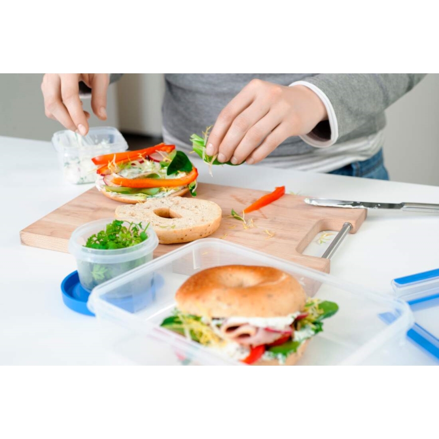 Tefal - Set med matlådor 5 delar MASTER SEAL FRESH blå