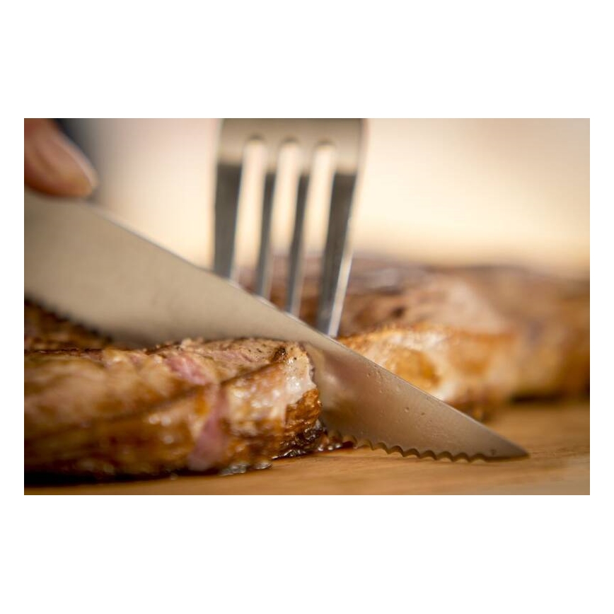 Tefal - Set med 4 rostfria stekknivar ICE FORCE 11 cm, polerad krom/svart