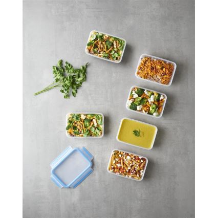 Tefal - Set om 6 matförvaringsburkar 0,8 l MASTER SEAL FRESH blå