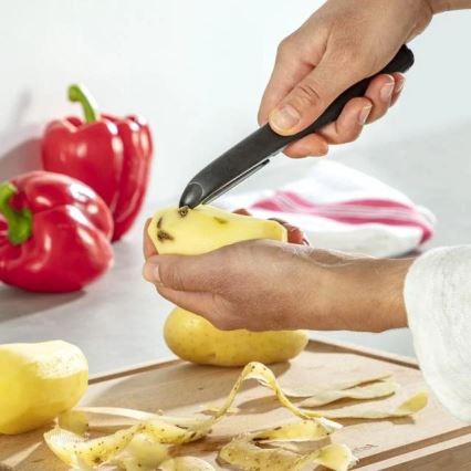 Tefal - Skalare för kök COLORFOOD 17 cm svart