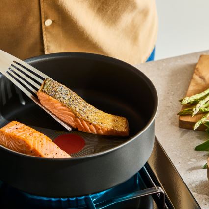 Tefal - Stekpanna INGENIO Excellence Fusion 24 cm