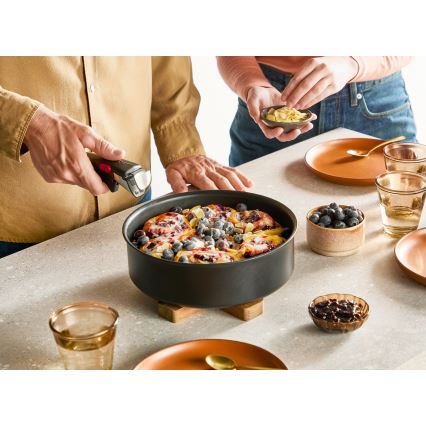 Tefal - Stekpanna INGENIO Excellence Fusion 24 cm
