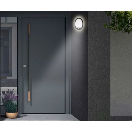 Telefunken 313705TF - LED utomhusvägglampa med sensor LED/15W/230V IP44