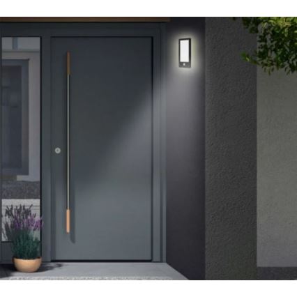 Telefunken 313905TF - LED utomhusvägglampa med sensor LED/16W/230V IP44